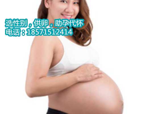 北京地下供卵机构靠谱吗,鲜胚和冻胚哪个成功率高