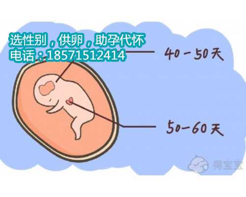 北京供卵试管周期多久,试管婴儿的具体过程