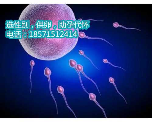 北京供卵试管中心机构,备孕前注意事项有哪些