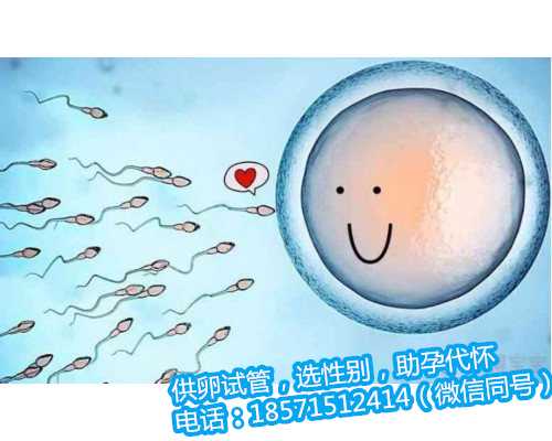 北京有偿助孕网,1广东省妇幼保健院知名试管婴儿医生
